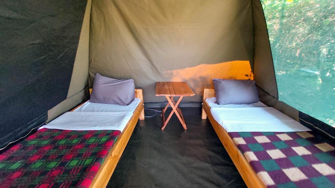 Greenwood Safari Camp Talek Exteriér fotografie