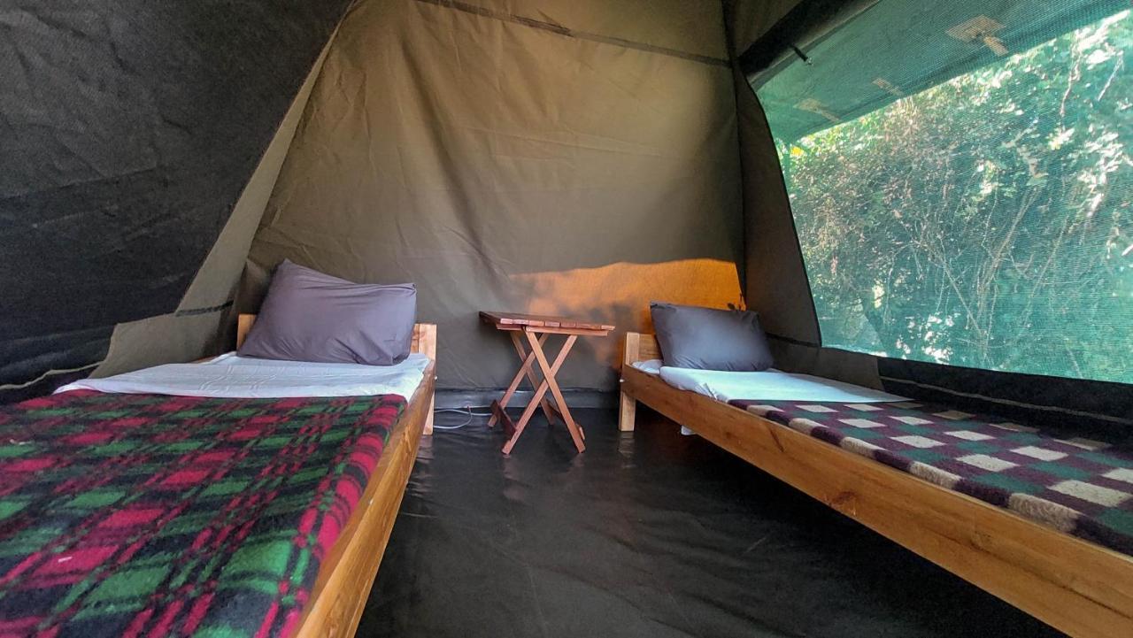 Greenwood Safari Camp Talek Exteriér fotografie
