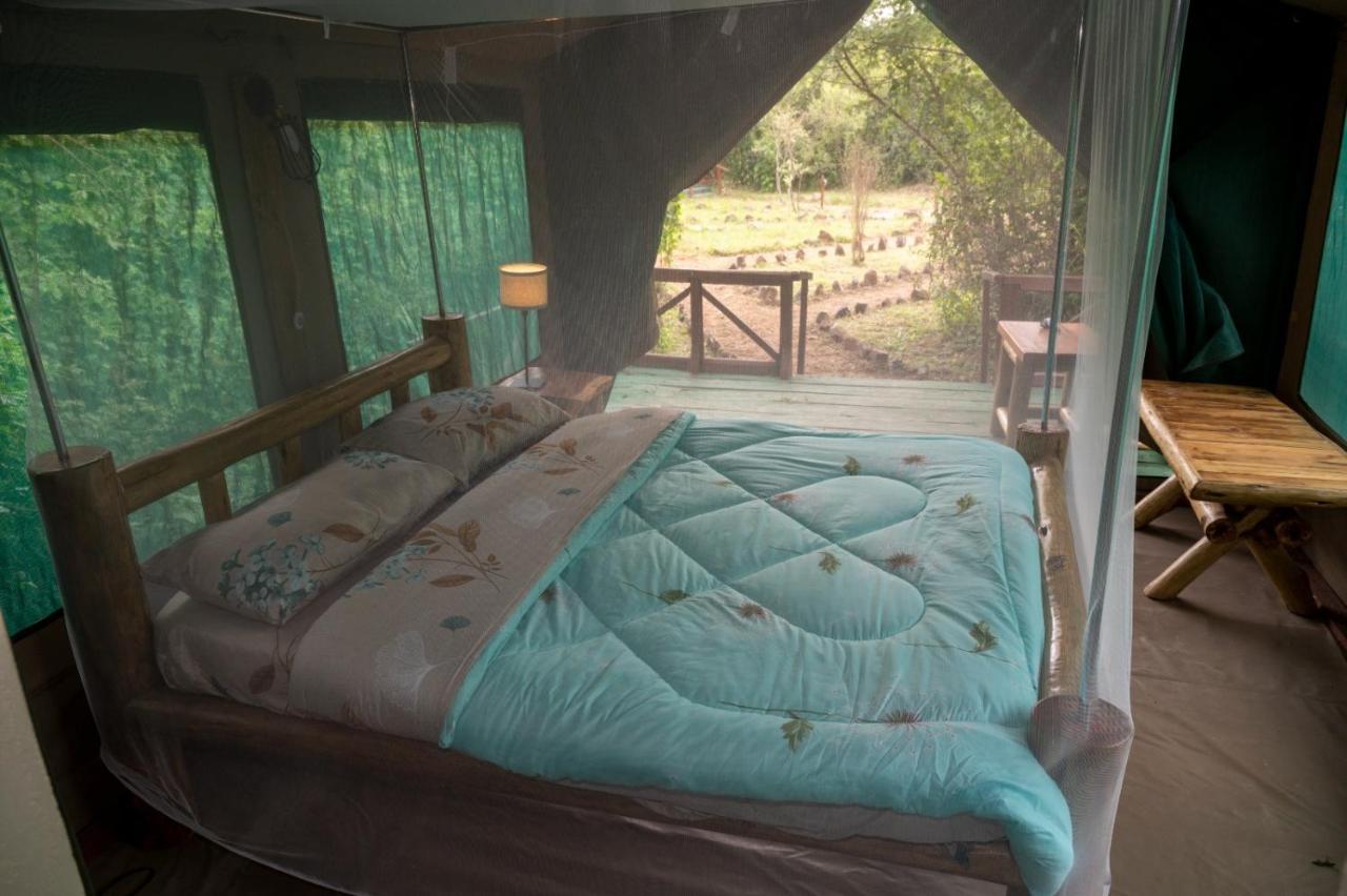 Greenwood Safari Camp Talek Exteriér fotografie