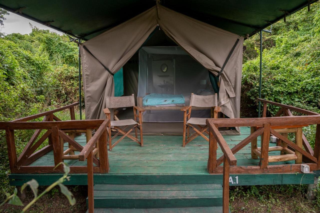 Greenwood Safari Camp Talek Exteriér fotografie