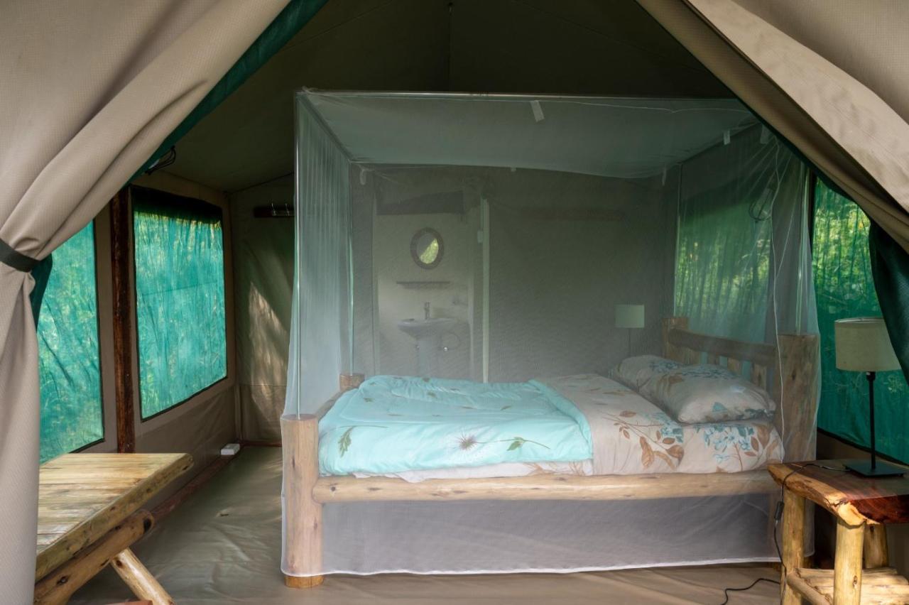Greenwood Safari Camp Talek Exteriér fotografie