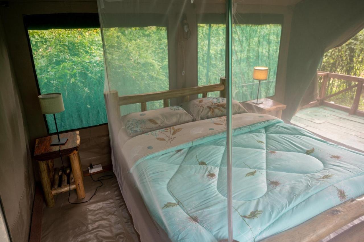 Greenwood Safari Camp Talek Exteriér fotografie